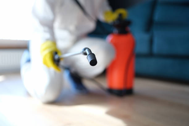 Best Mold Odor Removal Services  in Harpersville, AL